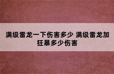 满级雷龙一下伤害多少 满级雷龙加狂暴多少伤害